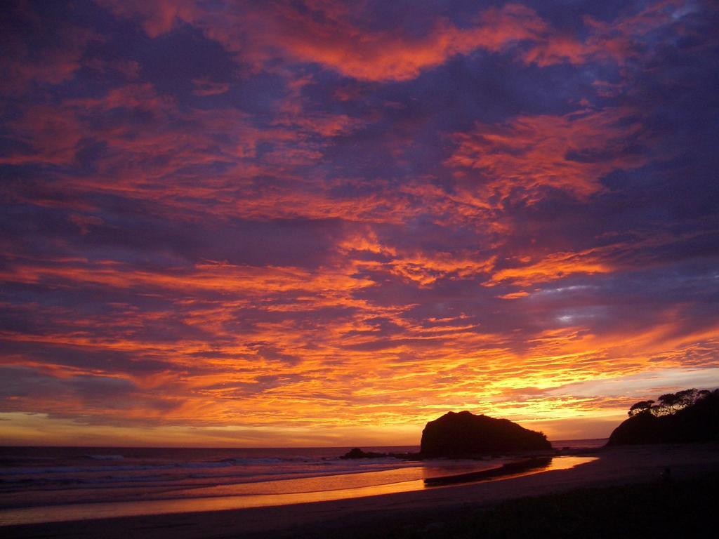 Hostel Playa Grande Surf Camp Exterior foto